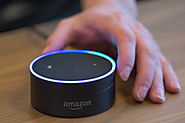 How To Reset Echo Dot?