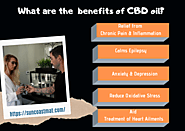 What are the benefits of CBD oil? | Suncoastmat CBD Oil