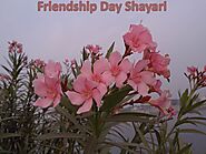 Happy Friendship Day Shayari for Dosti Hindi English for Special Friends