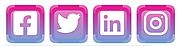 Custom social media icons created with iconPRO.io icon maker