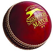 Buy Personalised Printed Cricket Balls