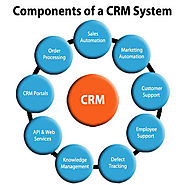 CRM Software System Delivers Success for These Businesses