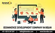 Best eCommerce Web Development Company in Delhi: iBrandox