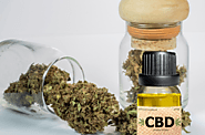 top cbd products for anxiety – cbdsushicat