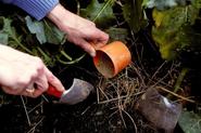 Garden Landscape Ideas