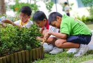 Things to Consider While Choosing the Best Landscaping Company - landscapegardening.over-blog.com