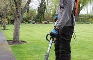 2 In 1 Tool: Brushcutter And Line Trimmer