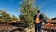 2 In 1 Tool: Brushcutter And Line Trimmer