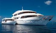 Maldives and the Liveaboard Diving Experience