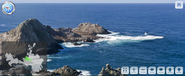 Farallones Web Cam: California Academy of Sciences
