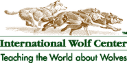 Wolf Cams | International Wolf Center