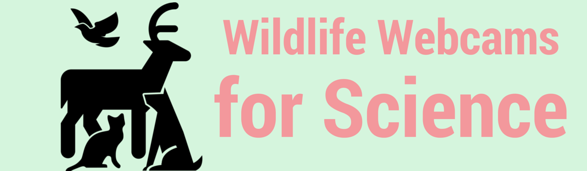 Headline for Wildlife Webcams for Science