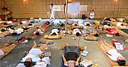 Yoga Vini Rishikesh: Benefits of Yoga Teacher Training Courses to Mind, Body & Spirit