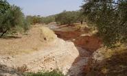 Soil Erosion and Degradation | Threats | WWF