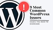 9 Most Common WordPress Issues You Need to Overcome: SFWPExperts