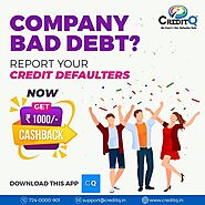 Company Bad Debt? Report your Credit Defaulters