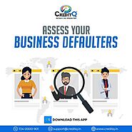 Assess your Business Defaulters