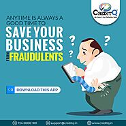 Save your business from fraudulents
