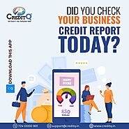 Did you check your Business Credit Report today?
