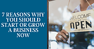7 Reasons Why You Should Start or Grow a Business Now - Camden Management