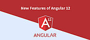 The New Features of Angular 12