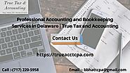 Professional Accounting and Bookkeeping Services in Delaware | True Tax and Accounting