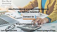 Hire Professional and Affordable Income Tax Service Delaware