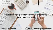Get Best Incorporation Service in Delaware | True Tax Accounting