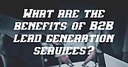 aMarketForce - B2B Lead Generation Company: What Are The Benefits of B2B Lead Generation Services?