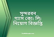 SGCL Job Circular | সুন্দরবন গ্যাস কো: লি: নিয়োগ বিজ্ঞপ্তি - The BD Bangla