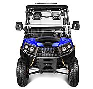 Why Should You Buy a New Rover 200 Golf Cart - 360 Power Sports