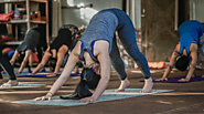 Getting a Yoga Teachers Training in Rishikesh – YogaTherapyFoundation