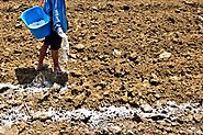 Why Hard and Clay Soils Requires Gypsum as Organic Soil Amendments?