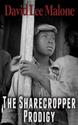 The Sharecropper Prodigy: A Southern Historical Thriller