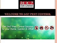 Cockroach Control Service in Delhi/NCR by 24x7 Pest Control Gurgaon - Issuu