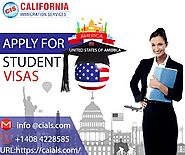 Why Should You Hire A Student Visa Consultant? - California Immigration Services