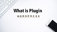 What is a Plugin on a Website | What is Plugin - 2020