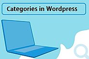 WordPress Manage Categories | get all Categories WordPress