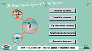 Most Popular type of Travel Insurance | Creatght