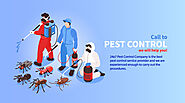 Pest Control in Pune