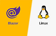How to Deploy Blazor on Linux Operating System?