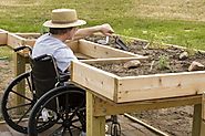Aussie's Hub: Ways to Make a Wheel Chair Accessible Planter Gardens