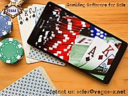 Gambling Software for Sale