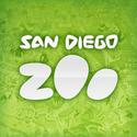 California - San Diego Zoo