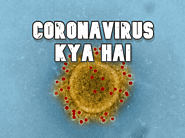 आखिर क्या है ये Coronavirus? » The Fit Buddy