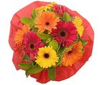 Mixed Gerberas Bouquet | Birthday & Anniversary | FLOWERS BY OCCASION | FloristMelb.com.au