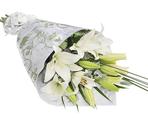 Fresh white Asiatic lilies | Lilies | FLOWERS IN MELBOURNE | FloristMelb.com.au