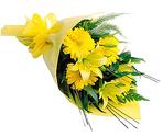 Bright Gerberas and Lilies | Birthday & Anniversary | FLOWERS BY OCCASION | FloristMelb.com.au