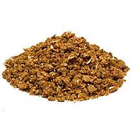 Cattle Feed in Bikaner - Manufacturers and Suppliers India