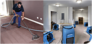 Wet Carpet Drying Tips and Tricks - Blogs Data